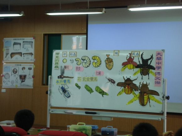 四年級「獨角武士-獨角仙的演化」教學講座-介紹昆蟲的「變態」