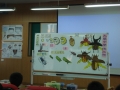 四年級「獨角武士-獨角仙的演化」教學講座-介紹昆蟲的「變態」